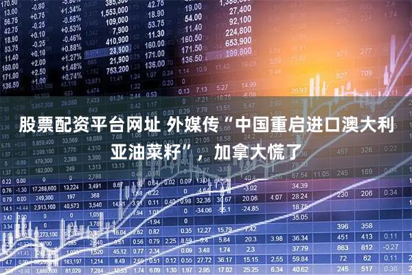 股票配资平台网址 外媒传“中国重启进口澳大利亚油菜籽”，加拿大慌了